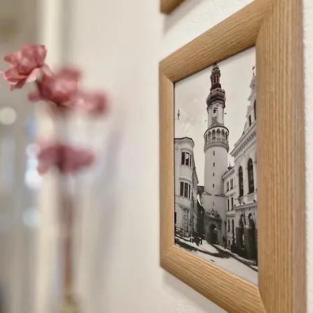Apartamento Várker39 *