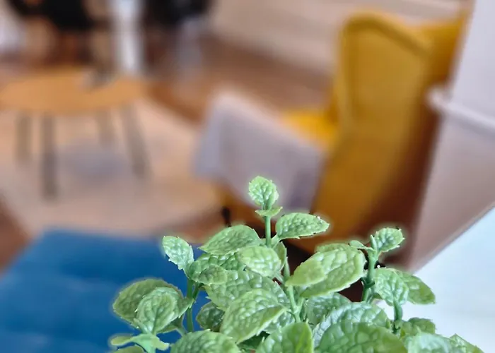 Varker39 Apartament *