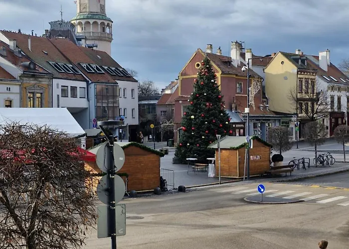 Varker39 Lägenhet Sopron